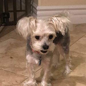 Meet your Posher, Hee